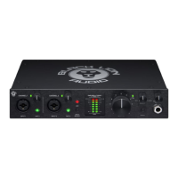 Preview: Black Lion Audio Revolution 2x2