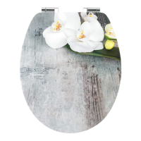 Preview: Cornat ORCHIS