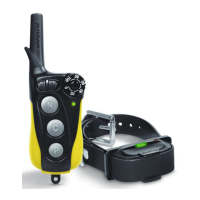 Preview: Dogtra iQ MINI