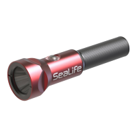 Preview: Sealife Sea Dragon Mini 1300S
