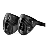 Preview: Cobra KING F8