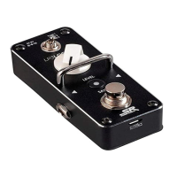 Preview: Stage right LP3 Looper