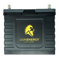 Preview: Lion Energy Safari UT 700