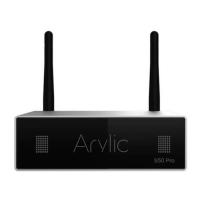 Preview: Arylic S50 Pro