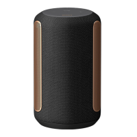 Preview: Sony SRS-RA3000