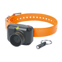 Preview: Dogtra STB BEEPER COLLAR
