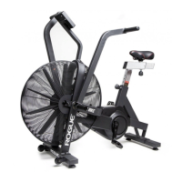Preview: ROGUE ECHO BIKE