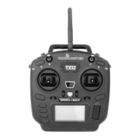 Preview: RadioMaster TX12