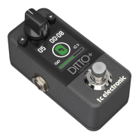 Preview: TC Electronic DITTO+