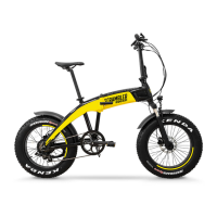 Preview: Scrambler Ducati SCR-E