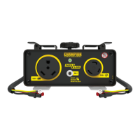 Preview: Champion Power Equipment Paralink 100740