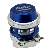 Preview: Turbosmart RACE PORT