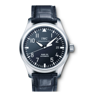 Preview: iwc Mark XVI