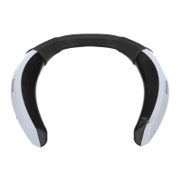 Preview: HORI Neckset