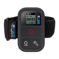 Preview: GoPro The Remote