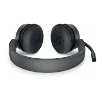 Preview: Dell Pro Wireless Headset