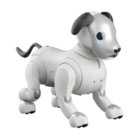 Preview: AIBO ERS-1000