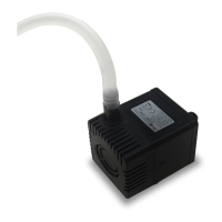 Preview: Air Naturel Pump It Up
