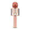 Microphone Logo