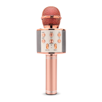 Preview: WSTER WS-858