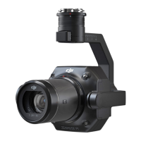 Preview: dji ZENMUSE P1