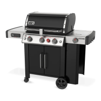 Preview: Weber GENESIS II EX-335