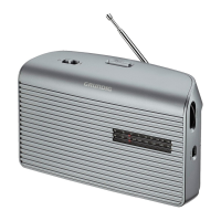 Preview: Grundig Music 60