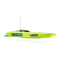 Preview: ProBoat Miss GEICO Zelos