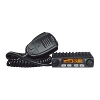 Preview: AnyTone SMART