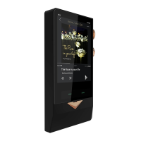 Preview: Cayin N8