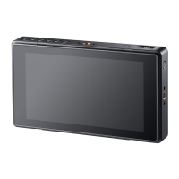 Preview: Godox GM55