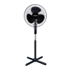 Fan Logo