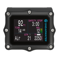 Preview: Shearwater Petrel 2
