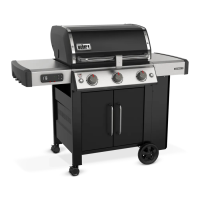 Preview: Weber GENESIS II EX-315