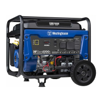 Preview: Westinghouse WGen5300s