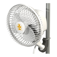 Preview: Secret Jardin MONKEY FAN