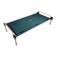 Preview: DISCOBED trundle