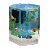 Aquariums Logo