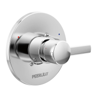 Preview: PEERLESS PTT188762