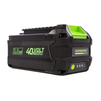 Preview: GreenWorks L-300