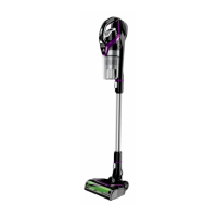 Preview: Bissell 2907F