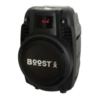 Preview: Boost BOOST6-PORT