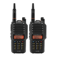 Preview: Baofeng UV-9G