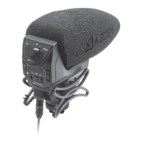 Preview: Azden SMX-30V