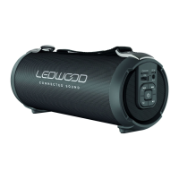 Preview: Ledwood ACCESS100