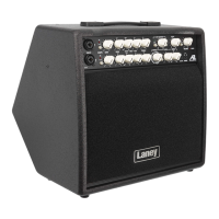 Preview: Laney A1+