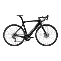 Preview: PINARELLO NYTRO