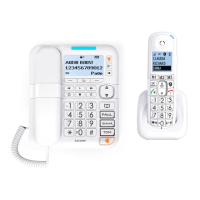 Preview: Alcatel XL785 Voice Combo