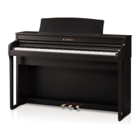 Preview: Kawai CA49