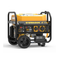 Preview: Firman P03612